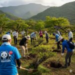【速報】パンダロス経済対策に和歌山県が新プロジェクト始動！