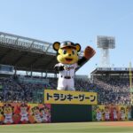 球団発表！甲子園のラッキーゾーン、来季から復活へ